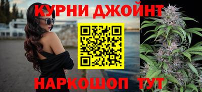 мяу мяу мука Краснознаменск