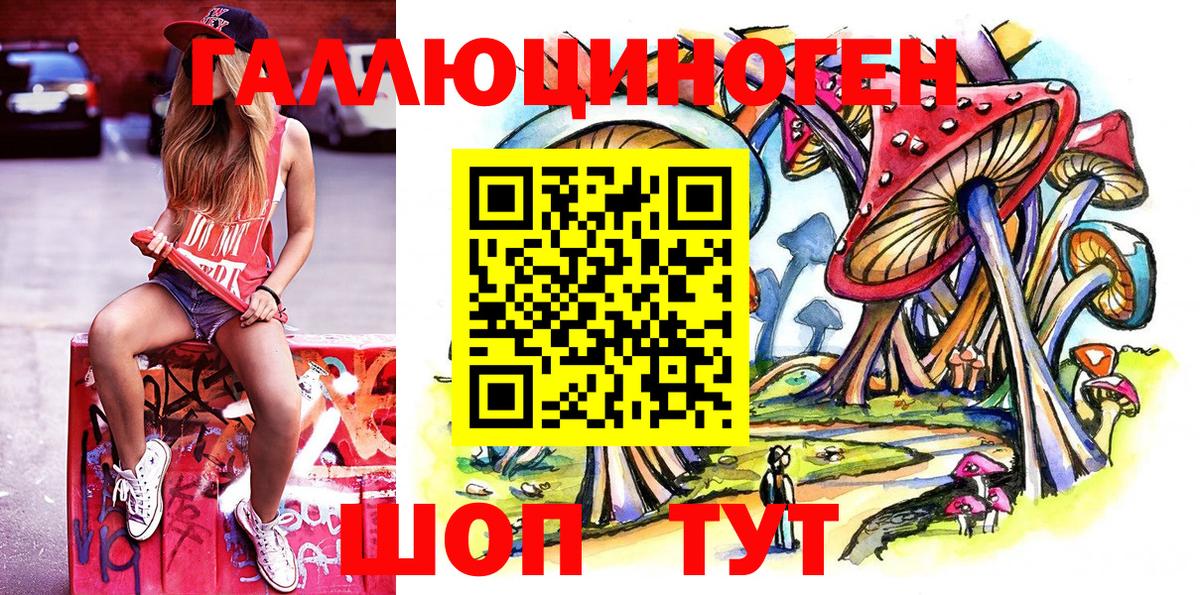 Псилоцибиновые грибы Cubensis Ковров