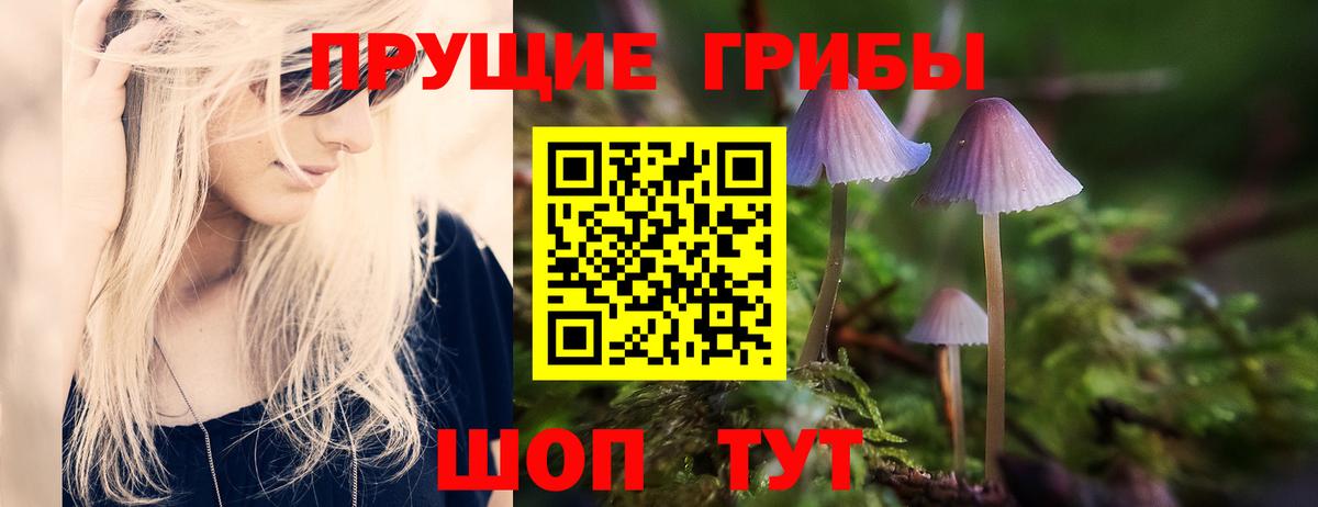 Ковров  Галлюциногенные грибы GOLDEN TEACHER  Вход с VPN 